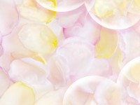 /album/photo-gallery-ljubov-i-romantika/love-and-romance-wallpapers-085-jpg/